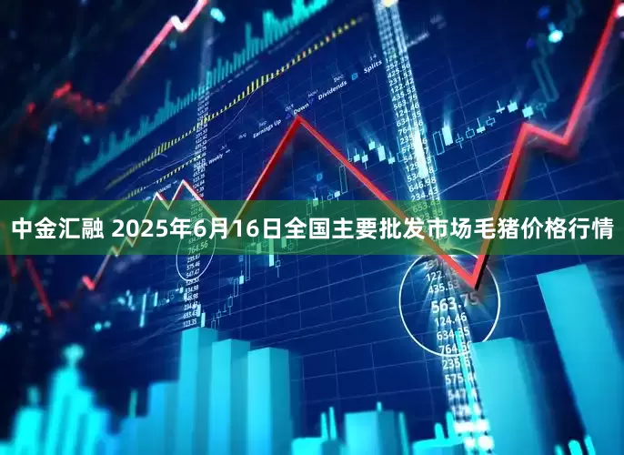 中金汇融 2025年6月16日全国主要批发市场毛猪价格行情
