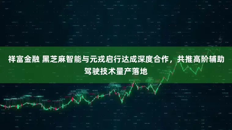 祥富金融 黑芝麻智能与元戎启行达成深度合作，共推高阶辅助驾驶技术量产落地