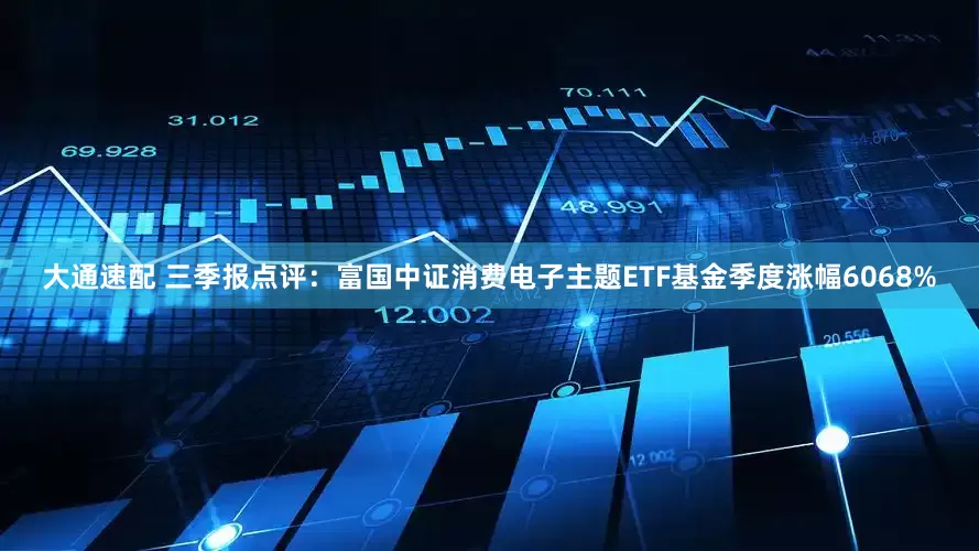 大通速配 三季报点评：富国中证消费电子主题ETF基金季度涨幅6068%